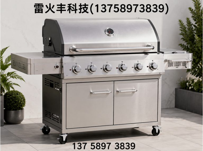 丽水燃气烧烤炉展示图